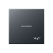Wippe Symbol Licht bel. anthrazit matt A 590 BFKO5 L ANM 