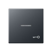 Wippe Symbol Tür bel. anthrazit matt A 590 BFKO5 T ANM 