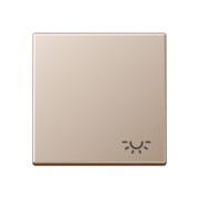 Wippe Symbol LICHT champ für Taster A 590 L CH 