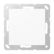 Blind-Abdeckung aws kompl.mit Tragring A 594-0 WW 