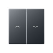 Wippe Symbole Pfeile 2-f anthrazit matt A 595 BF P ANM 