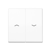 Wippe Symbole aws für Taster AS 591-5 P WW 