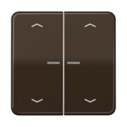 Taster 2fach JUNG HOME BT CD 17102 P BR 