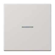 Taster 1fach JUNG HOME BT LS 17101 LG 