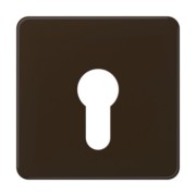 Abdeckung br für Schlüsselschalt. CD 525 