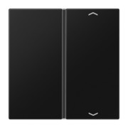 Taste 1-fach graphitschwarz matt LS 401 TSAP SWM 