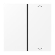 Taste 1-fach schneeweiß matt LS 401 TSAP WWM 