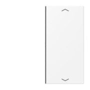 Taste 2-fach schneeweiß matt LS 402 TSAP WWM 