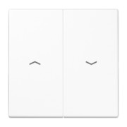 Wippe Symbole aws für Taster LS 995 P WW 