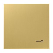 Wippe Mess/classic Symbol Tür/f. Taster ME 2990 T C 