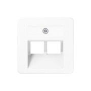 Zentralplatte für IAE/UAE-Dose 169-2 UAE WW 