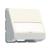 Datenanschlussgehäuse ws Schriftfeld 23x59mm 554 