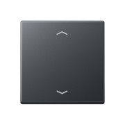 Wippe f.Taster -Pfeile A 101 P BF ANM 