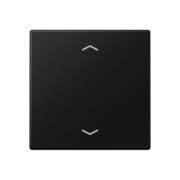 Wippe mit Pfeilsymbolen graphitschwarz matt A 101 P BF SWM 