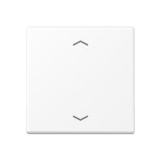 Wippe mit Pfeilsymbolen schneeweiß matt A 101 P BF WWM 