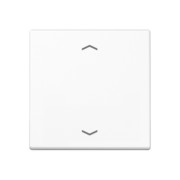 Wippe f.Taster -Pfeile A 101 P WW 