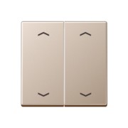 Wippe f.Ser.Taster -Pfeile A 102 P CH 