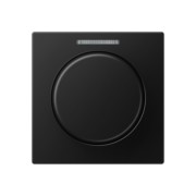 Abdeckung mit Lichtleiter graphitschwarz matt A 1540 BF KO5 SWM 