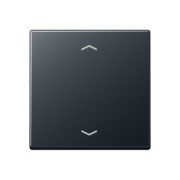 Steuertaste Standard Symbole Pfeile A 1700 BFP ANM 