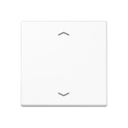 Steuertaste Standard Symbole Pfeile A 1700 BFP WW 