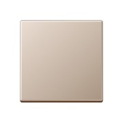 Steuertaste Standard A 1700 CH 