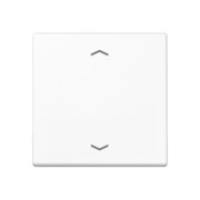 Steuertaste Standard Symbole Pfeile A 1700 P WW 