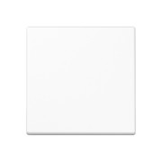 Steuertaste Standard A 1700 WW 