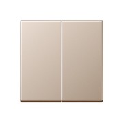 Steuertaste 2-fach Standard A 1702 CH 