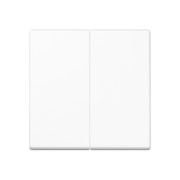 Steuertaste 2-fach Standard A 1702 WW 