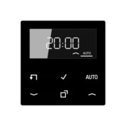 Timer Standard, Display Echtglasfront A 1750 D SW 