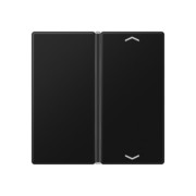 Taste 1-fach graphitschwarz matt A 401 TSAP SWM 