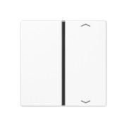 Taste 1-fach aws mit Symbolen A 401 TSAP WW 