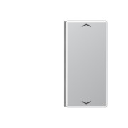 Taste 2-fach alu mit Symbolen A 402 TSAP AL 