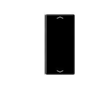 Taste 2-fach sw mit Symbolen A 402 TSAP 