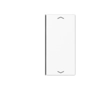 Taste 2-fach aws mit Symbolen A 402 TSAP WW 