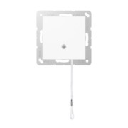 Zugwechselschalter 10 AX alpinweiß A 506 BF NUZ WW 