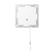 Zug-Wechselschalter A 506 BF NUZ WWM 