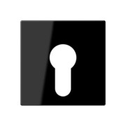 Abdeckung sw für Schlüsselschalt. A 525 PL 