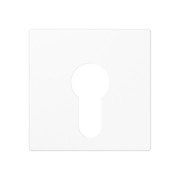 Abdeckung aws für Schlüsselschalt. A 525 PL WW 