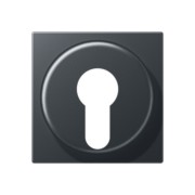 Abdeckung anthrazit matt A 528 PL ANM 