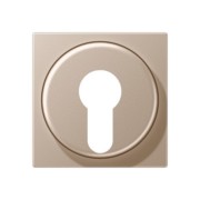 Abdeckung champ. f. Schlüsselschalter A 528 PL CH 