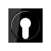 Abdeckung sw für Schlüsselschalt. A 528 PL 