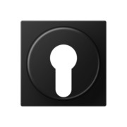 Abdeckung f.Schluesselschalter A 528 PL SWM 