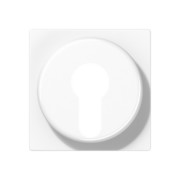 Abdeckung aws für Schlüsselschalt. A 528 PL WW 