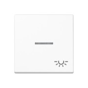 Wippe Symbol Licht bel. alpinweiß A 590 BFKO5 L WW 