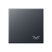 Wippe Symbol Licht anthrazit matt A 590 BF L ANM 