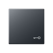 Wippe Symbol Tür anthrazit matt A 590 BF T ANM 