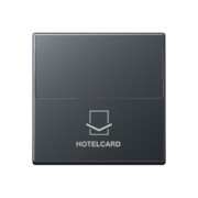 Hotelcard-Schalter anthrazit matt A 590 CARD ANM 