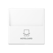 Hotelcard-Schalter schneeweiß matt A 590 CARD WWM 