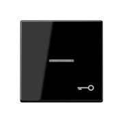 Wippe Symbol TÜR sw für beleuchtb.Taster A 590 KO5 T 